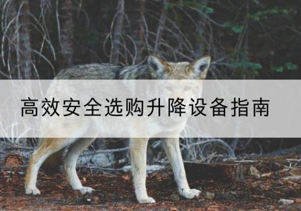 顺德升降货梯厂家推荐-*安全选购升降设备指南