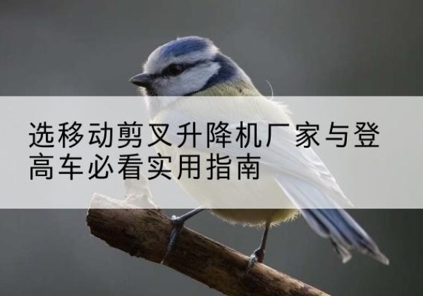 顺德电动升降机厂家-选移动剪叉升降机厂家与登高车必看实用指南