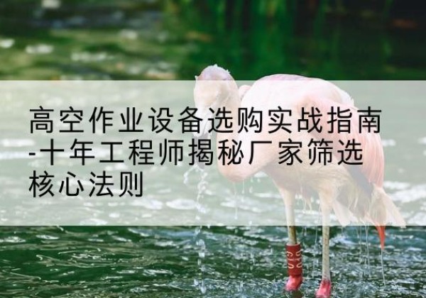 顺德剪叉式升降机厂家-高空作业设备选购实战指南-十年工程师揭秘厂家筛选核心法则